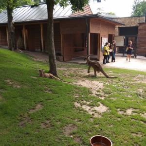IMG_20210722_093729.jpg