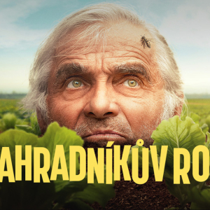 Spirálovské filmové léto 2025